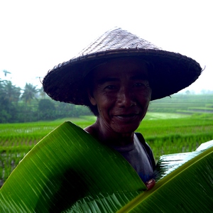 Balinais couvert d'un chapeau se protégeant de la pluie avec des feuilles de bananier - Bali  - collection de photos clin d'oeil, catégorie portraits